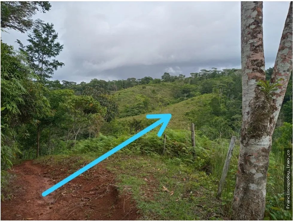 Farm for Sale in Ciri de Los Sotos Capira Panama