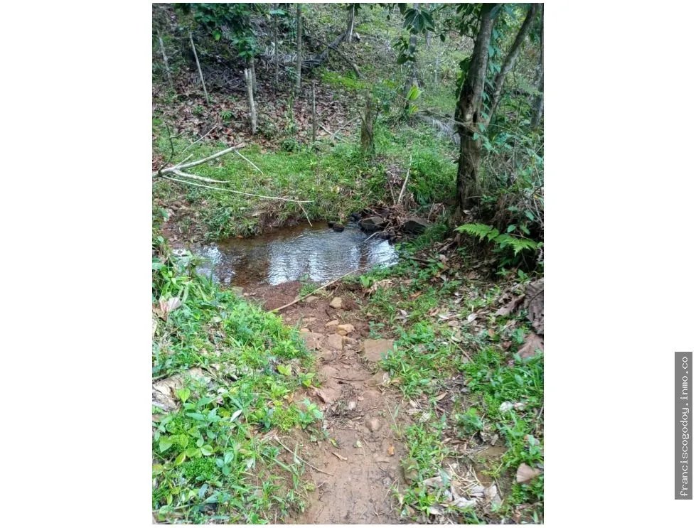 Farm for Sale in Ciri de Los Sotos Capira Panama