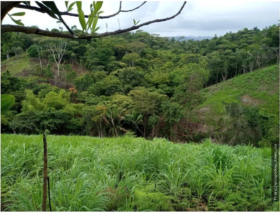 Farm for Sale in Ciri de Los Sotos Capira Panama
