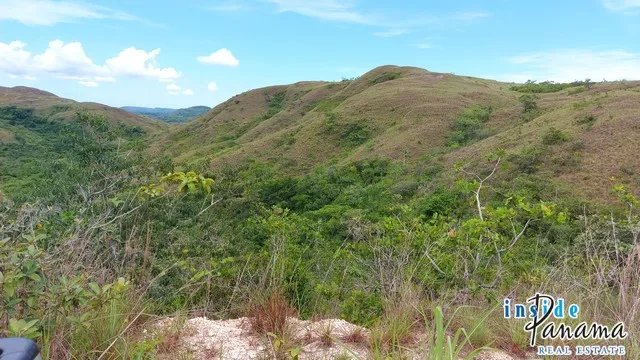 Land for Sale in Nata Cocle Panama