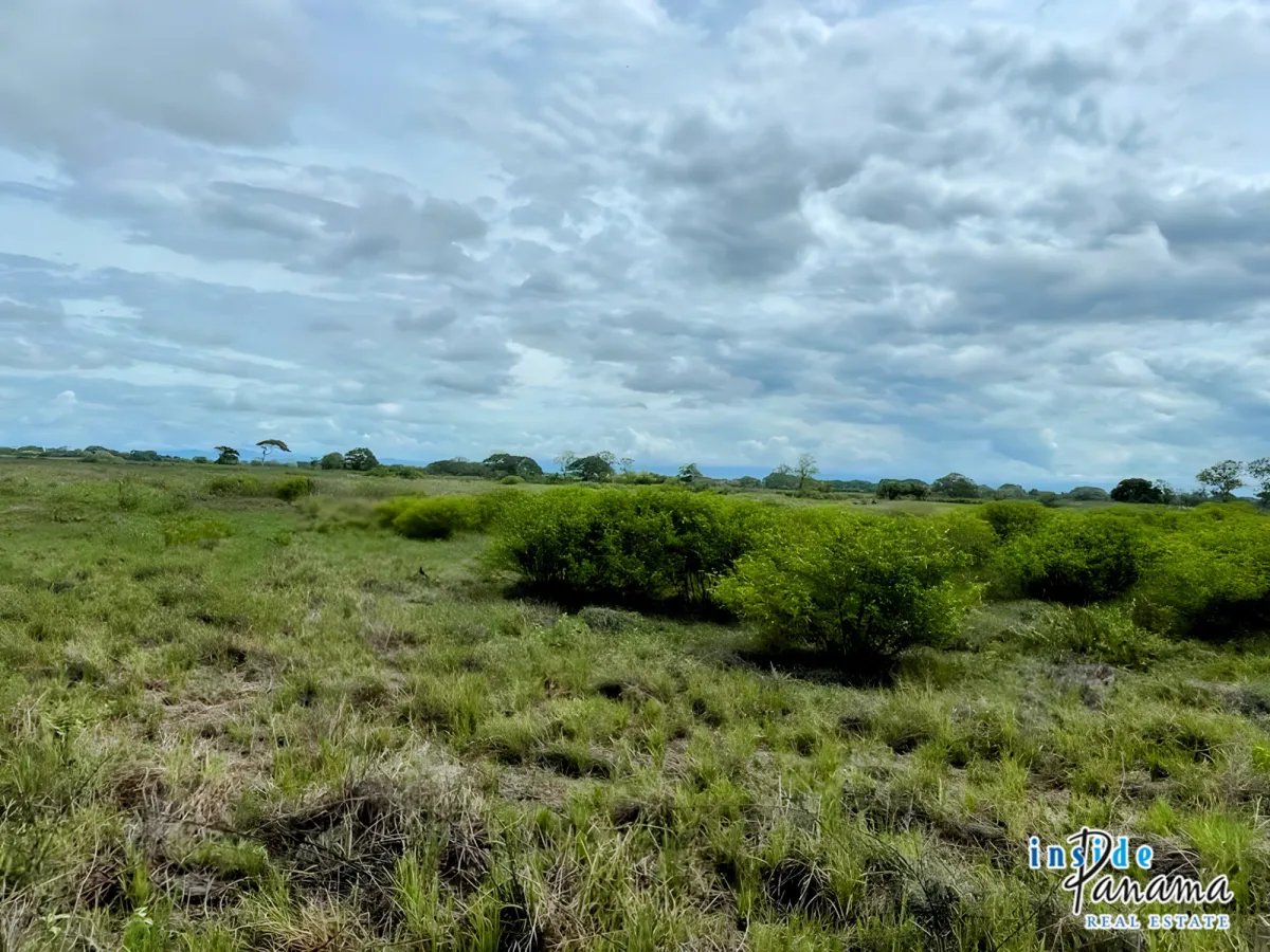 Beautiful Land in Gated Community Las Olas La Barqueta