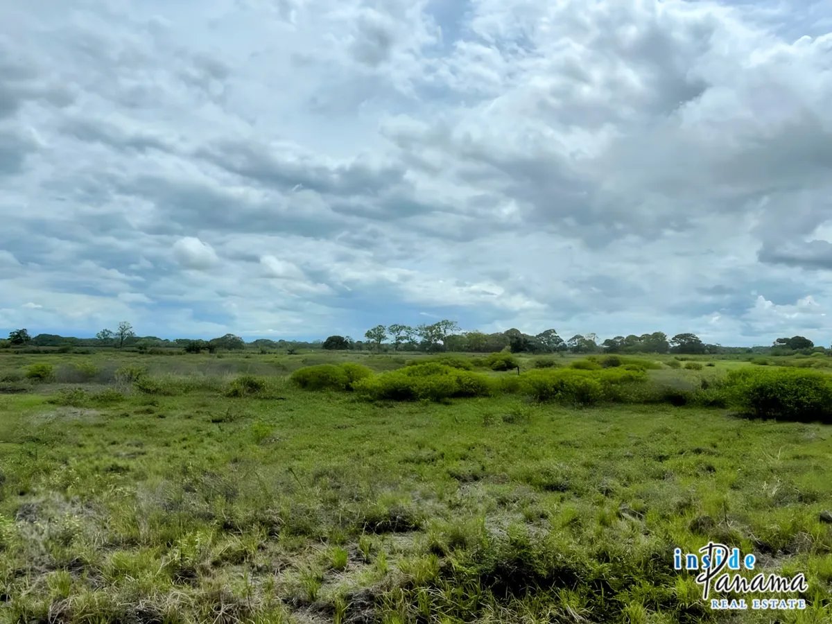 Beautiful Land in Gated Community Las Olas La Barqueta