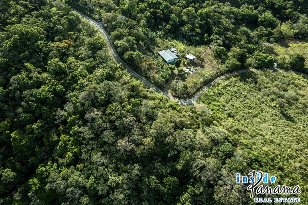 Expansive Buildable Lot with Panoramic Views in Jaramillo Panama