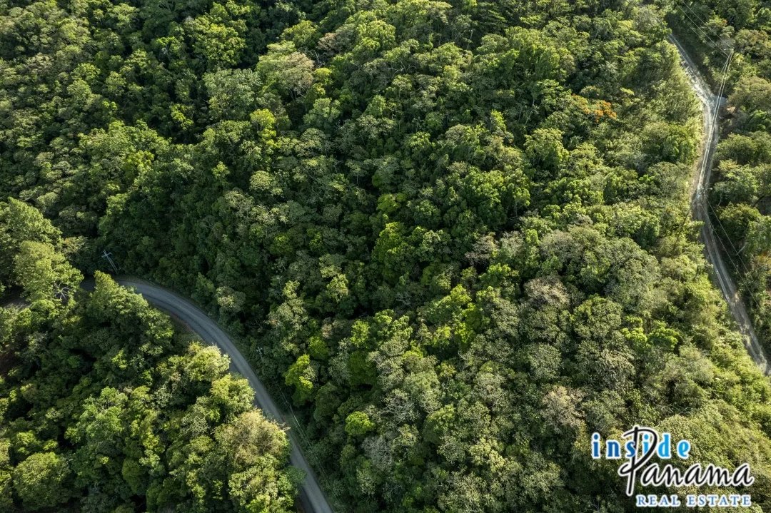 Expansive Buildable Lot with Panoramic Views in Jaramillo Panama
