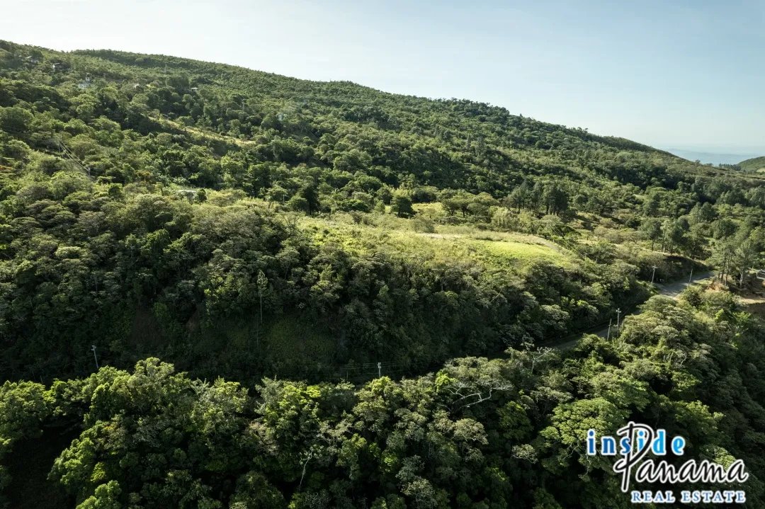 Expansive Buildable Lot with Panoramic Views in Jaramillo Panama