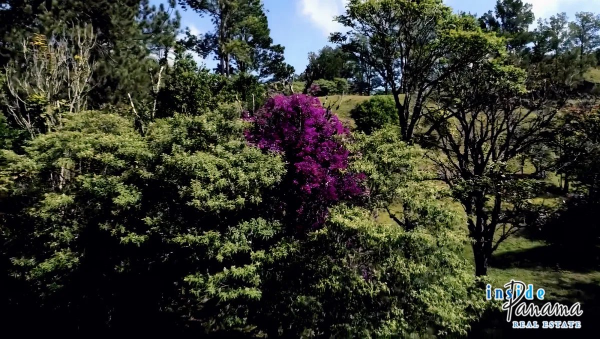 Apartamento à Venda em Volcan