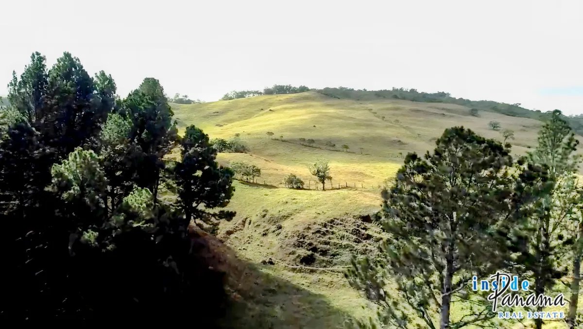 Apartamento à Venda em Volcan