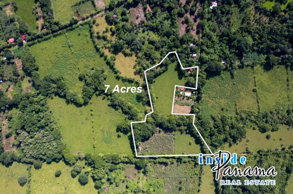 Prime 7 Acre Flat Land For Sale El Higo Dolega Chiriqui Panama