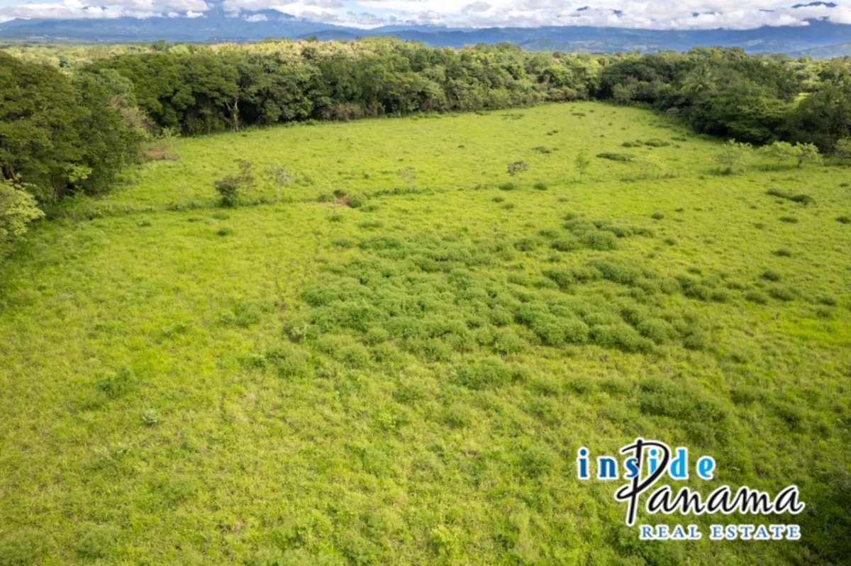 Prime 7 Acre Flat Land For Sale El Higo Dolega Chiriqui Panama