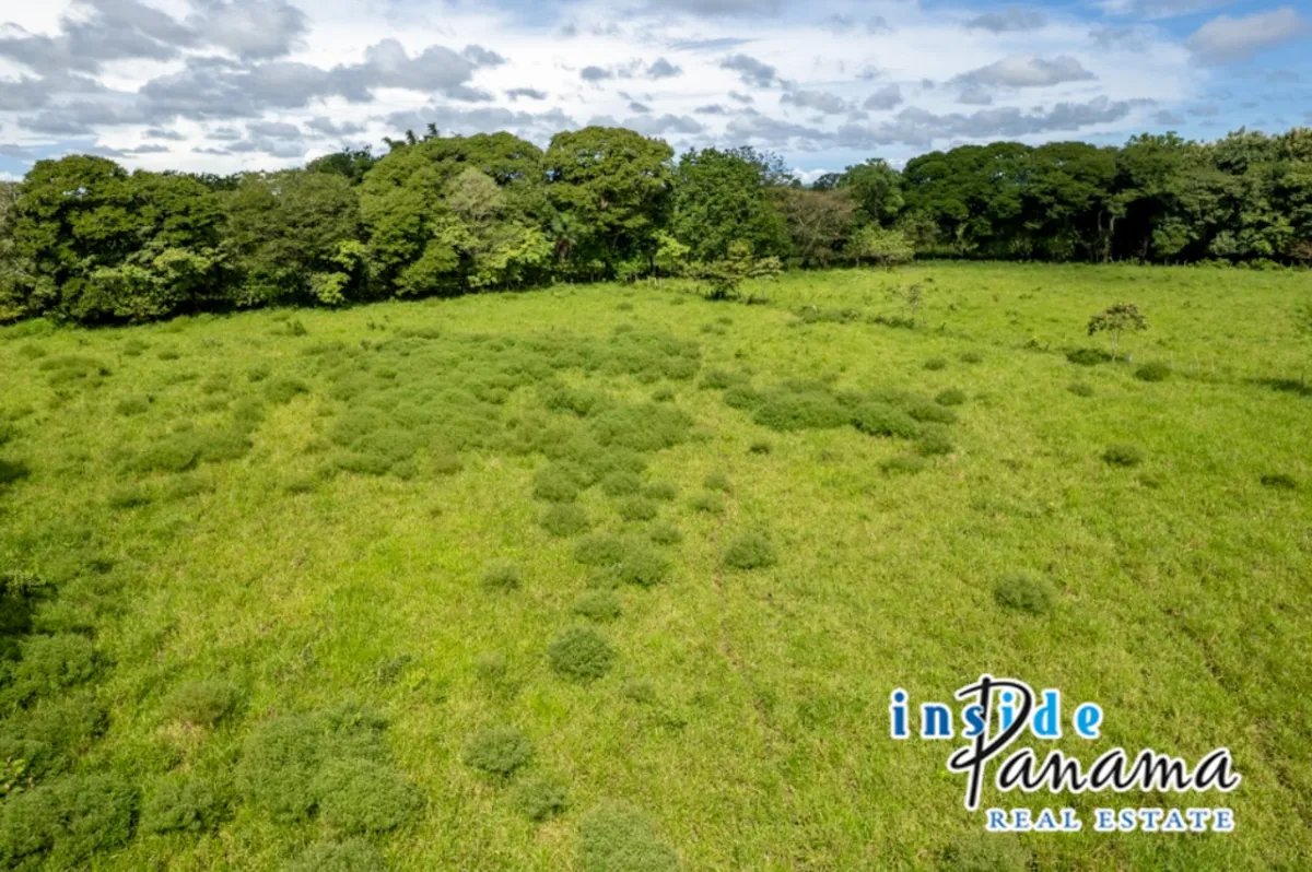 Prime 7 Acre Flat Land For Sale El Higo Dolega Chiriqui Panama