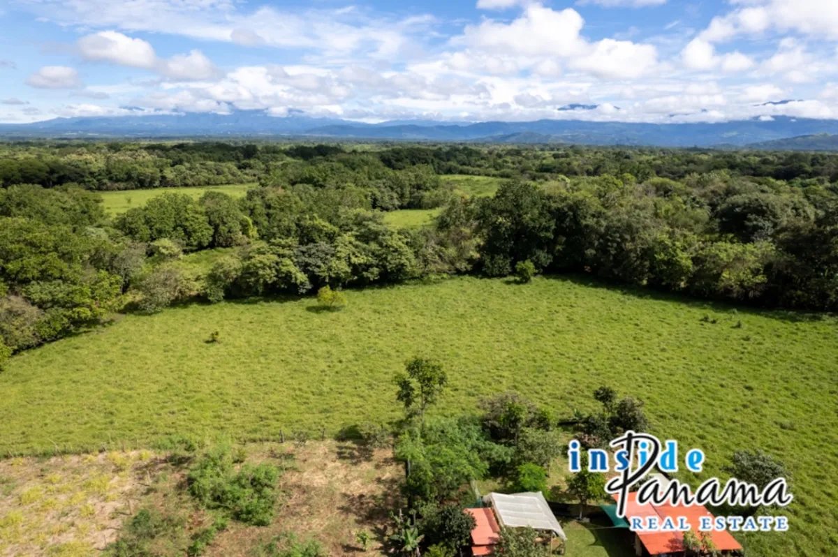 Prime 7 Acre Flat Land For Sale El Higo Dolega Chiriqui Panama