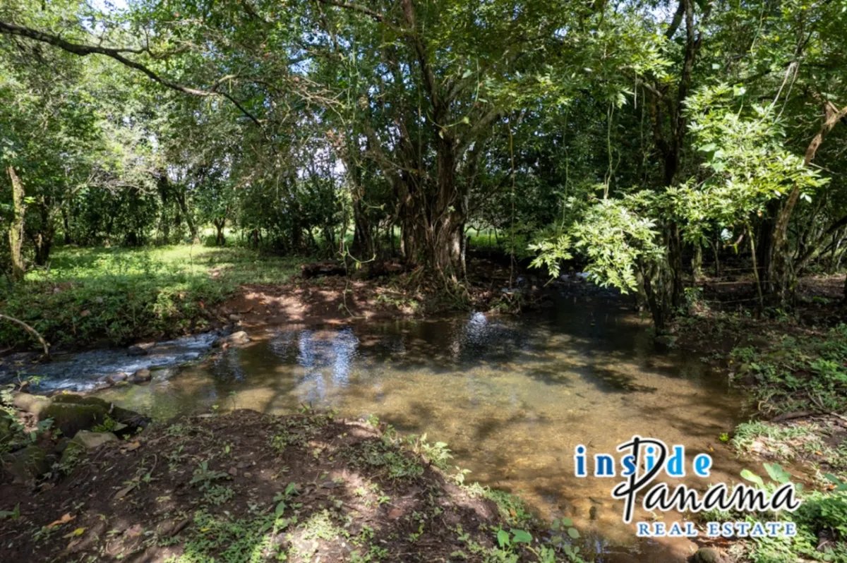 Prime 7 Acre Flat Land For Sale El Higo Dolega Chiriqui Panama
