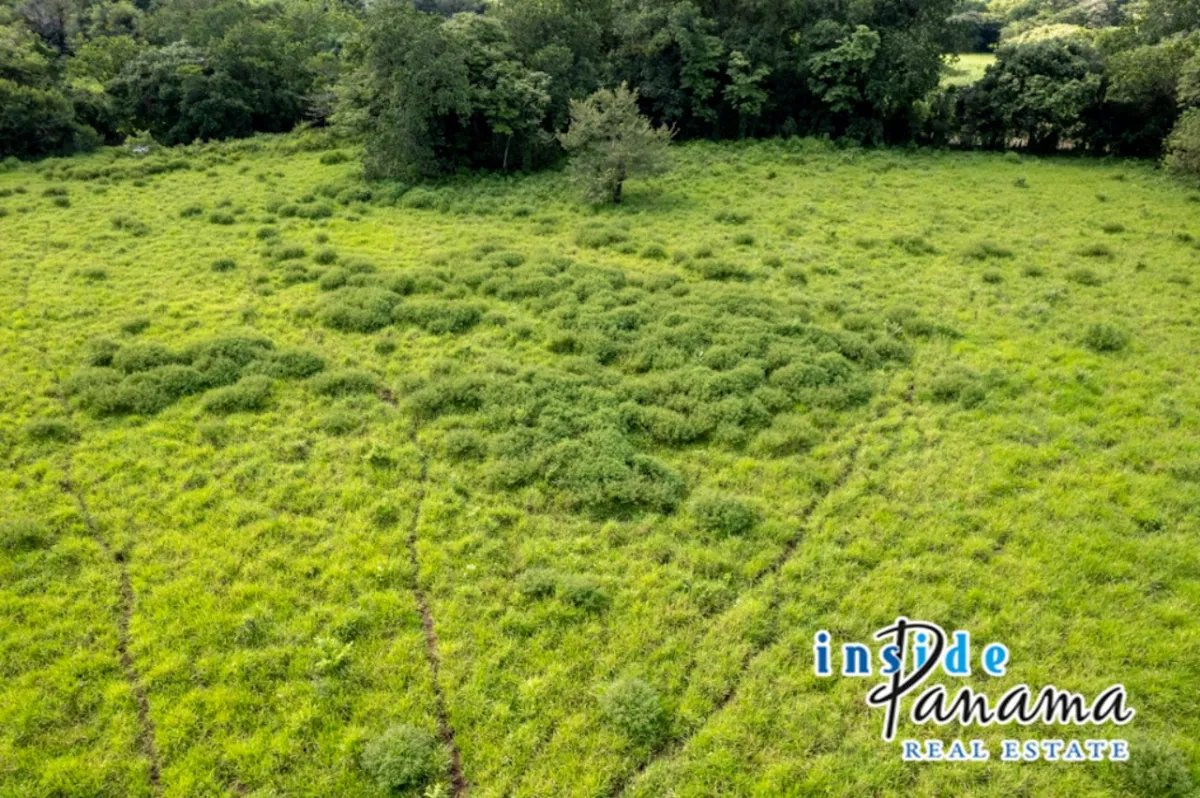 Prime 7 Acre Flat Land For Sale El Higo Dolega Chiriqui Panama