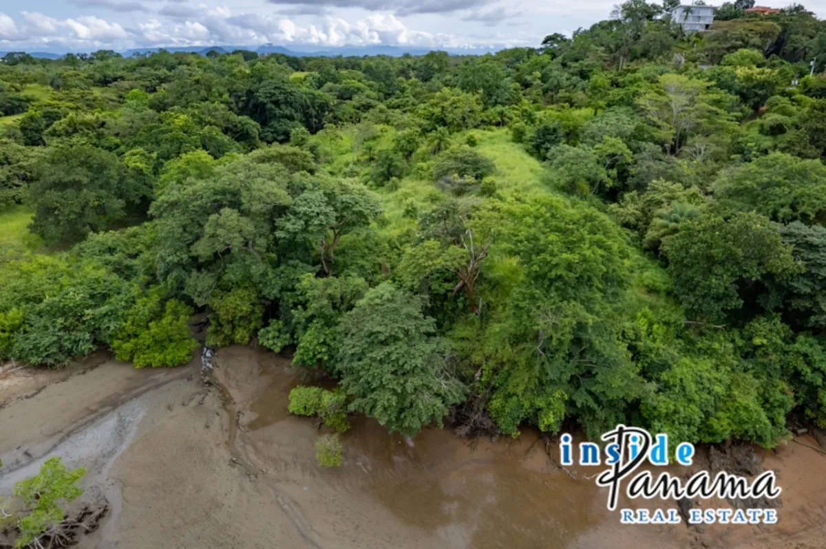 Apartamento à Venda em Boca Chica