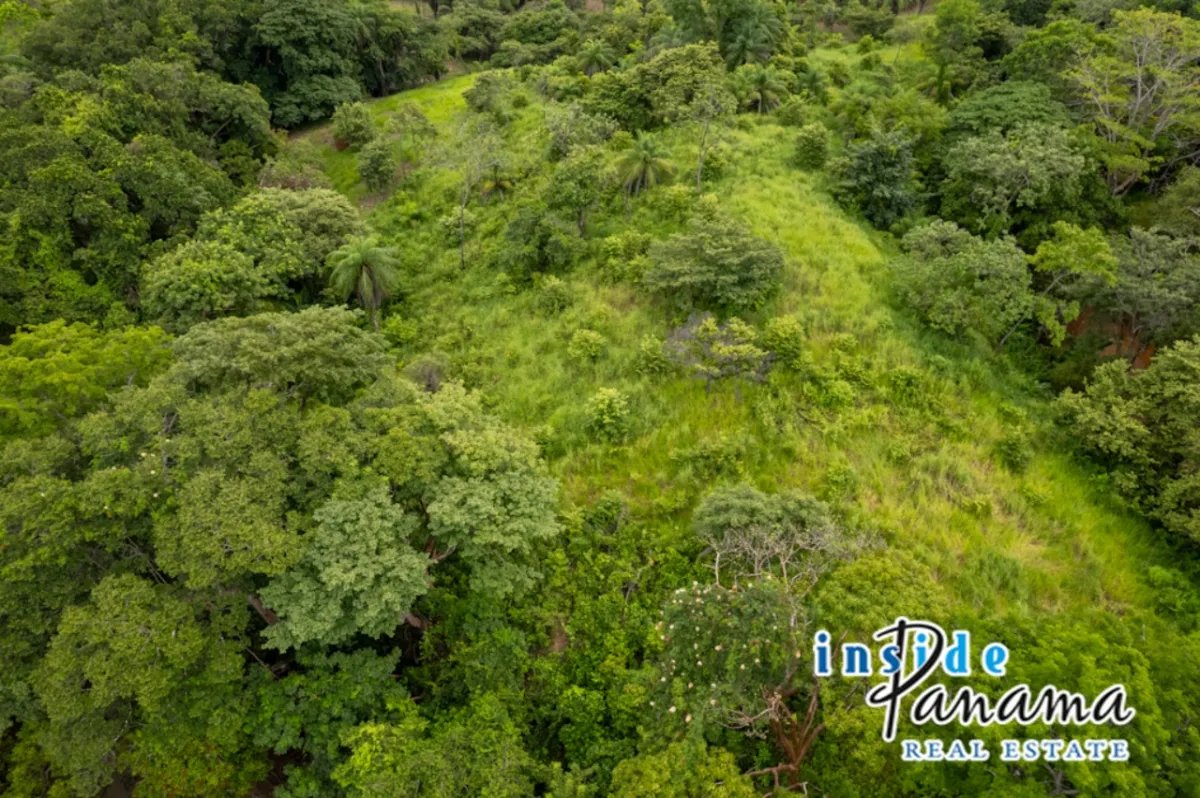 Apartamento à Venda em Boca Chica