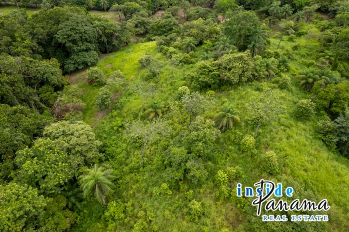 Apartamento à Venda em Boca Chica