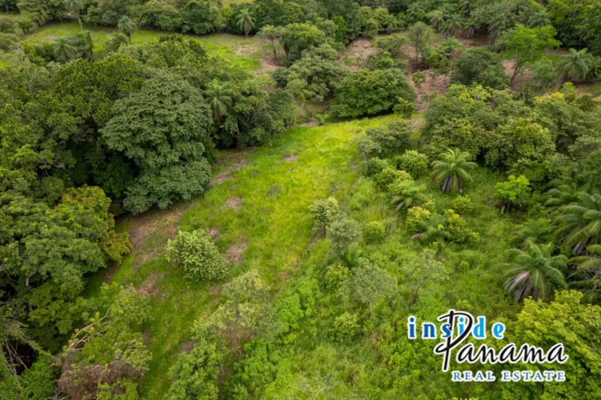 Apartamento à Venda em Boca Chica