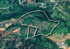 Terreno à Venda