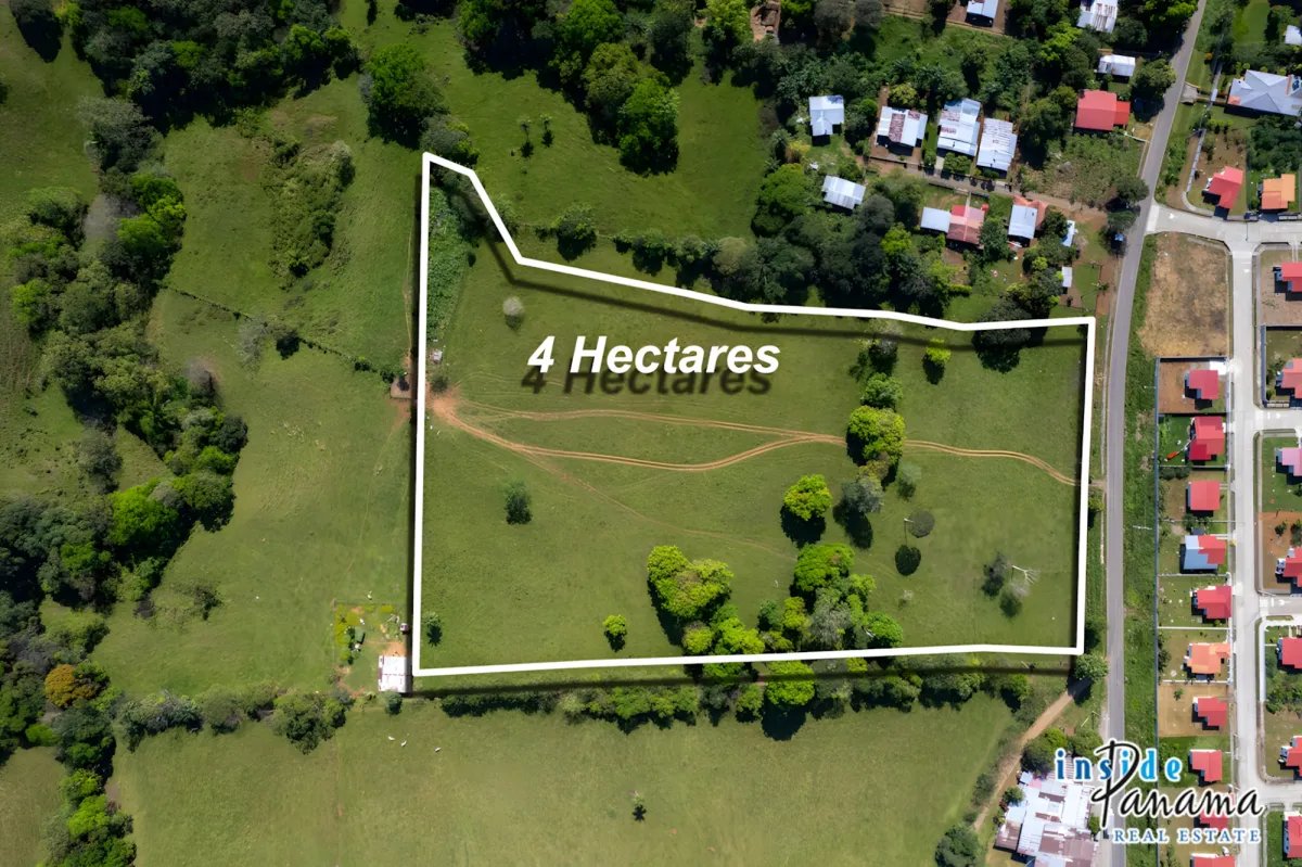 Four Hectare Development Land in David Chiriqui