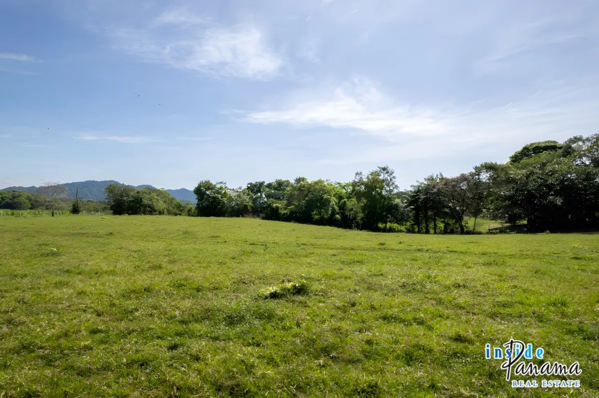 Apartamento à Venda em David