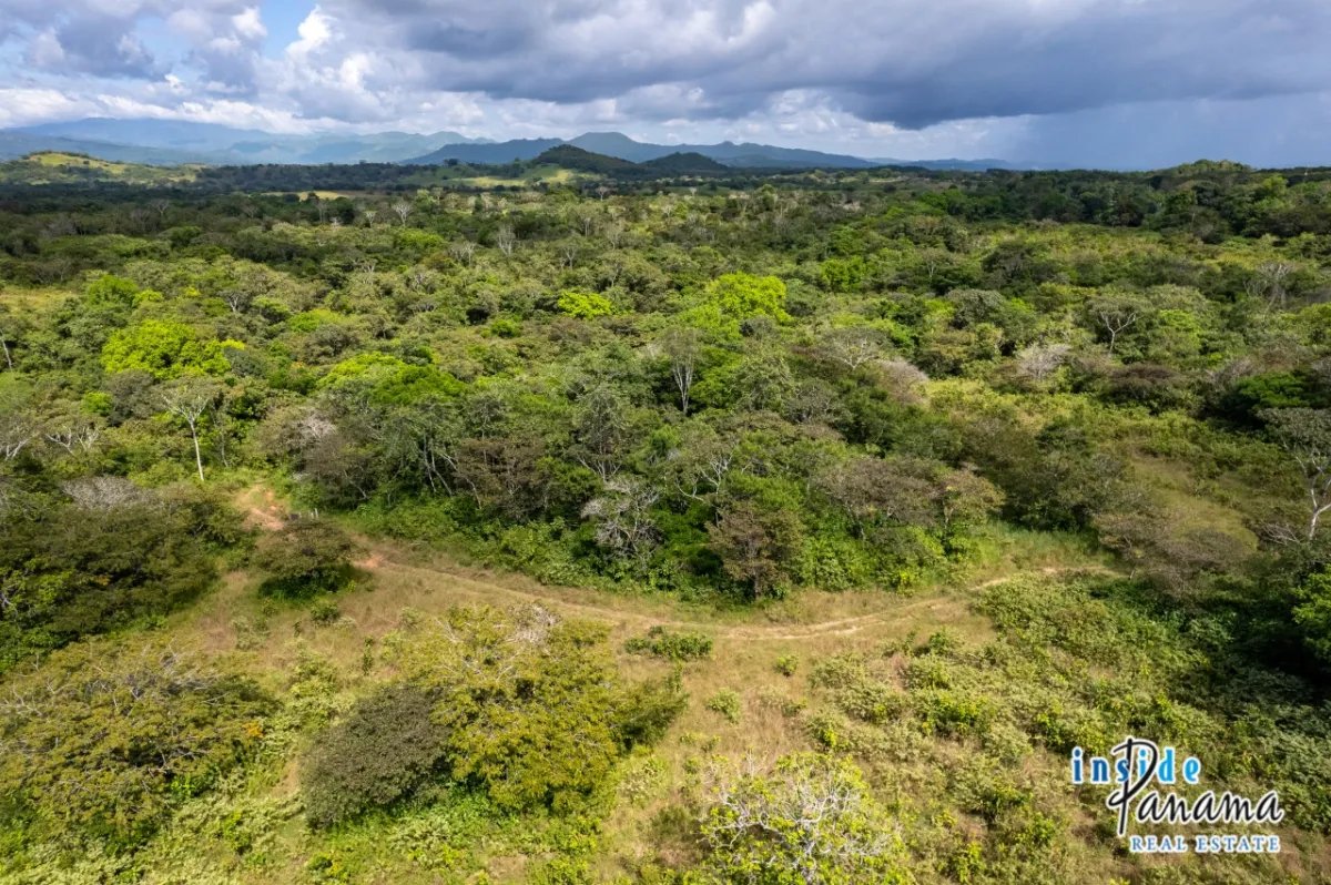 Expansive Sea Access Finca in Las Lajas Chiriqui Panama