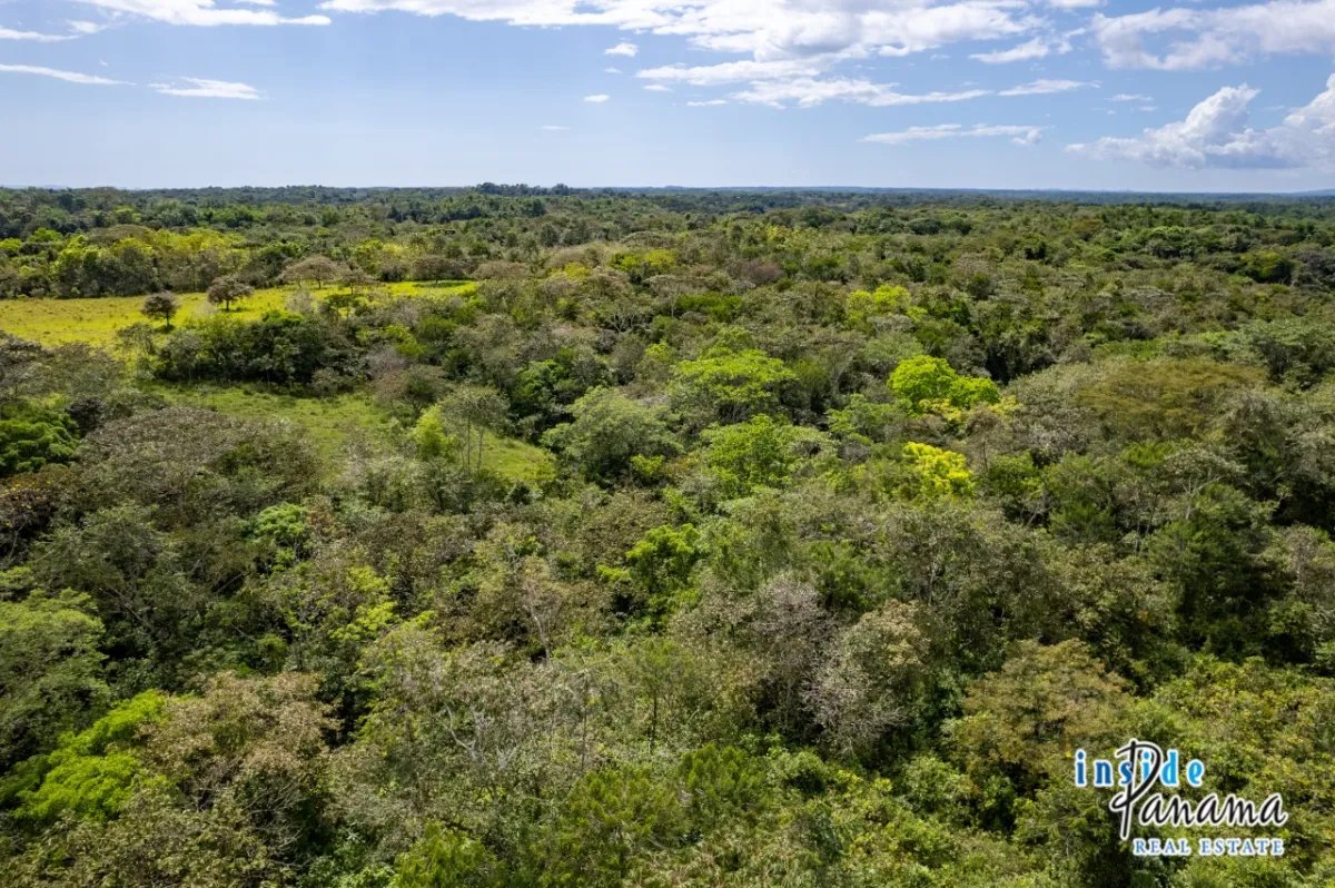 Expansive Sea Access Finca in Las Lajas Chiriqui Panama