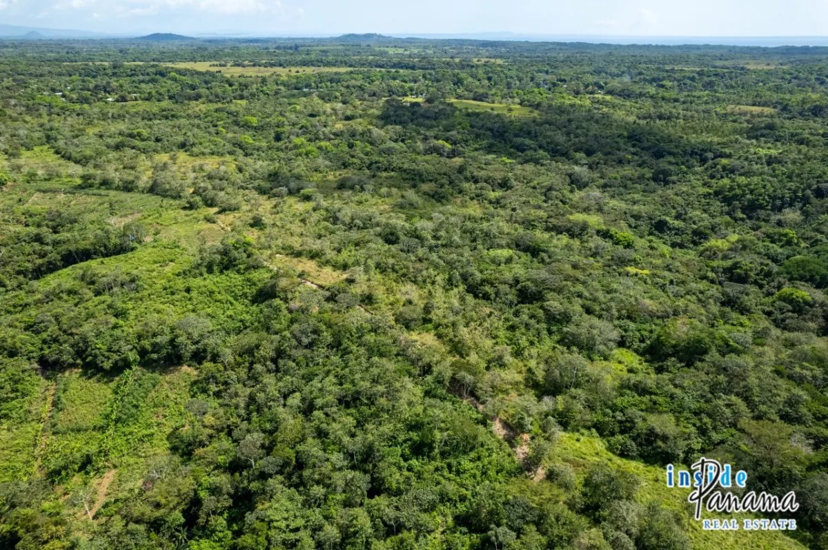 Expansive Sea Access Finca in Las Lajas Chiriqui Panama