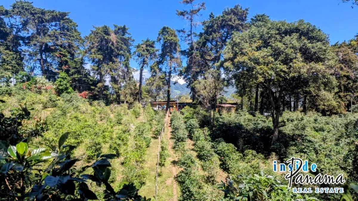 Apartamento à Venda em Boquete