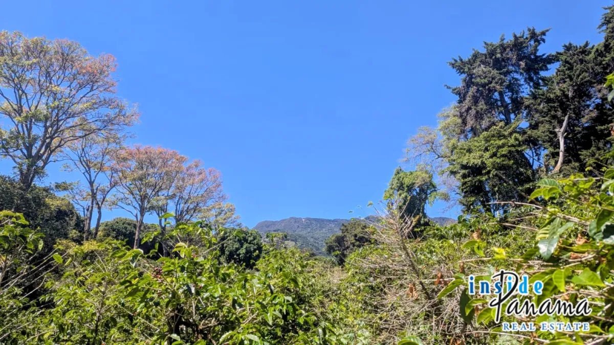 Apartamento à Venda em Boquete