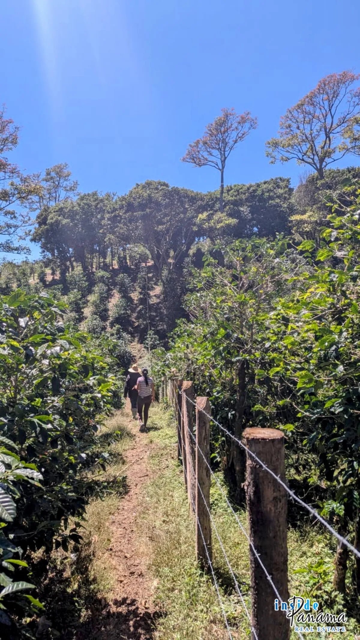 Apartamento à Venda em Boquete