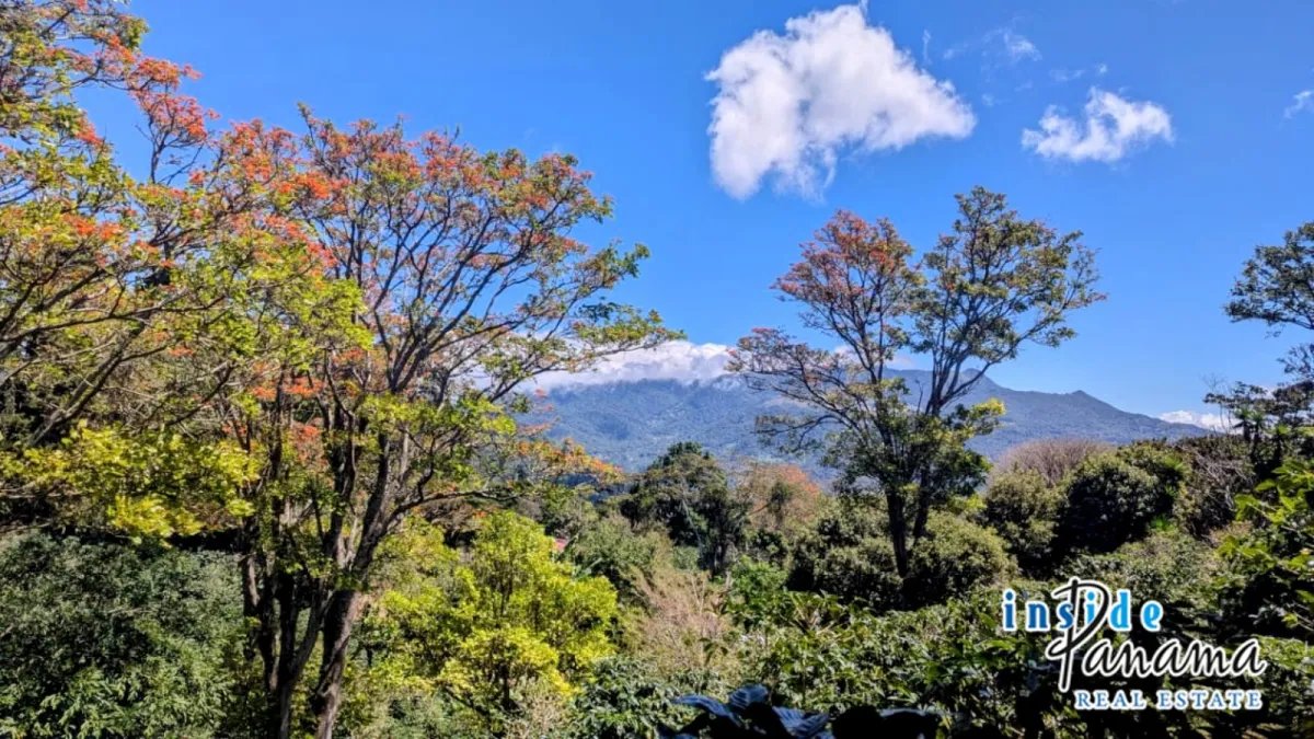 Apartamento à Venda em Boquete