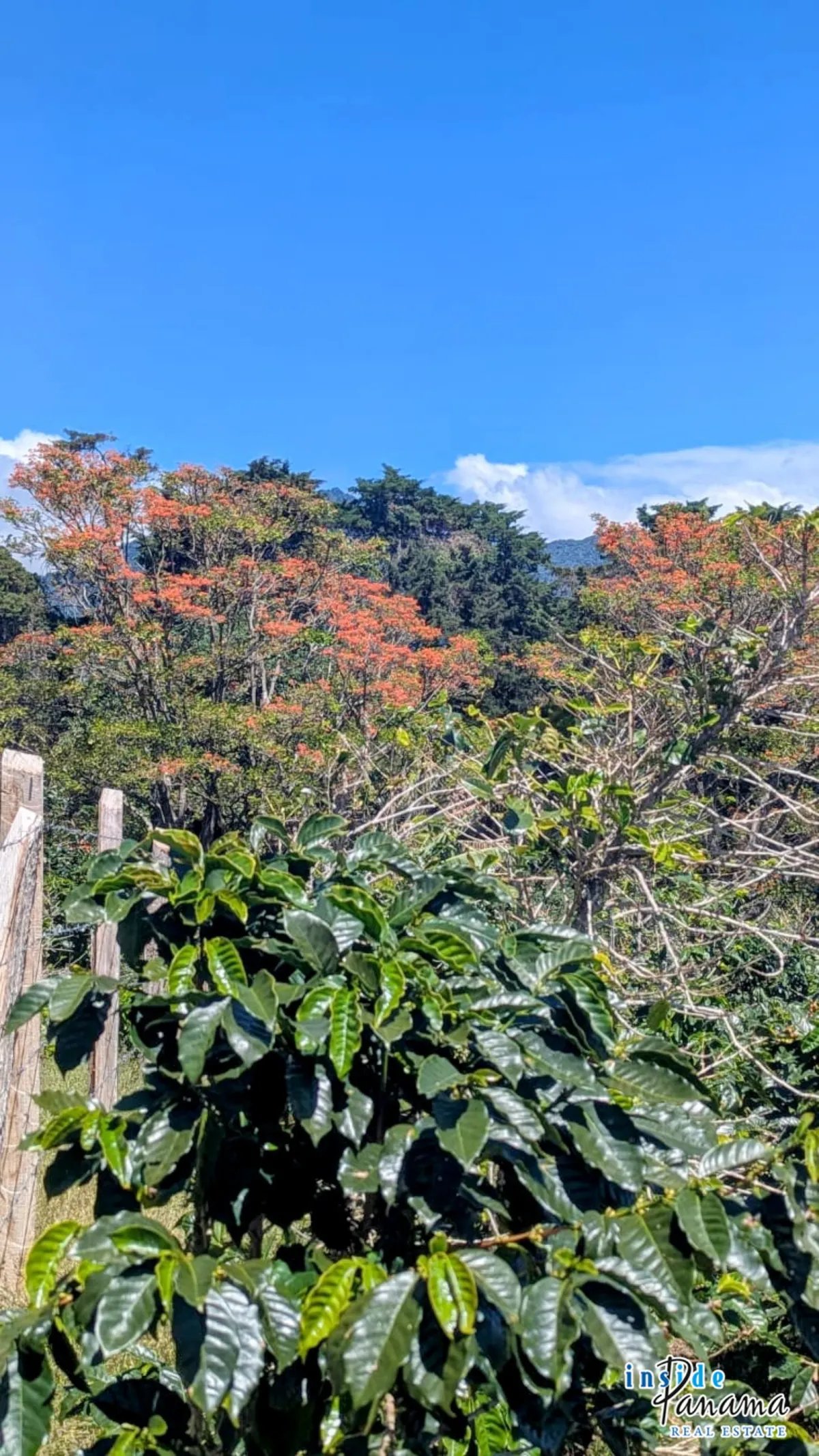 Apartamento à Venda em Boquete