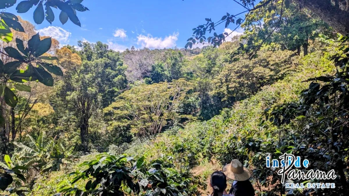 Apartamento à Venda em Boquete