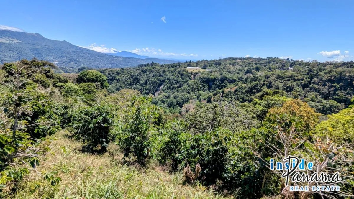 Apartamento à Venda em Boquete