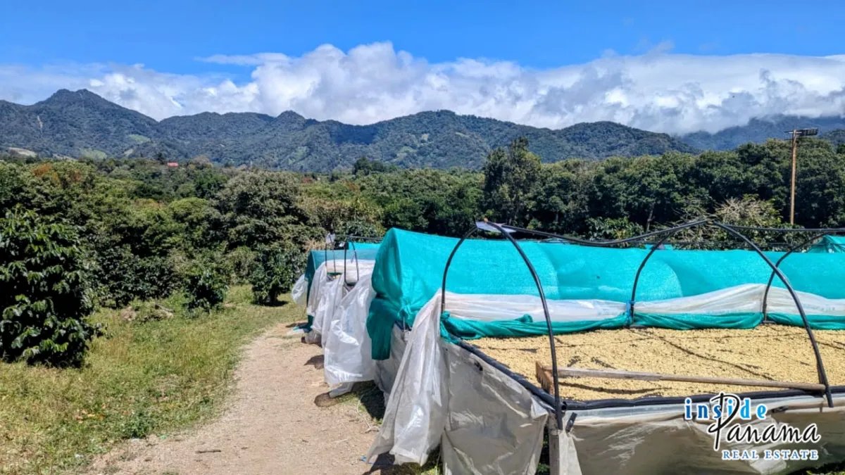 Apartamento à Venda em Boquete