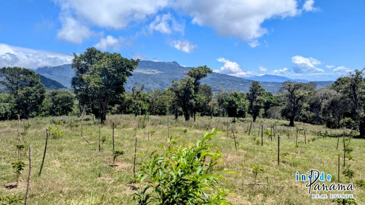 Apartamento à Venda em Boquete