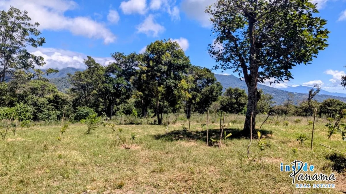 Apartamento à Venda em Boquete