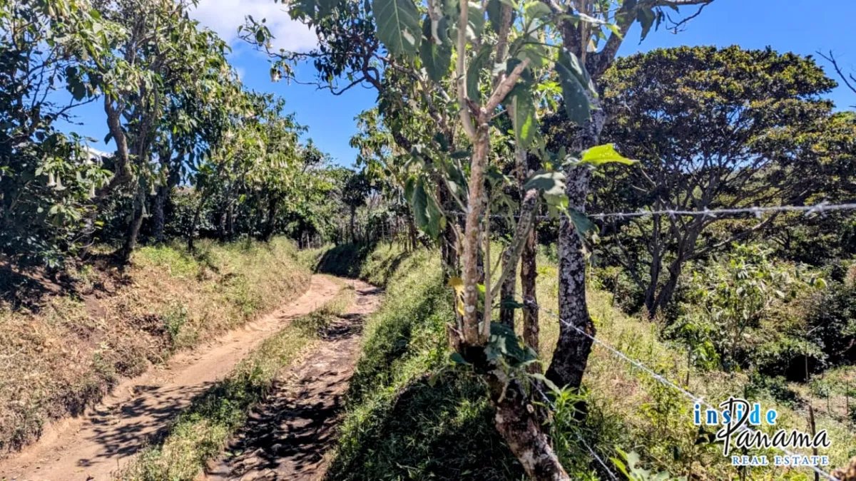 Apartamento à Venda em Boquete