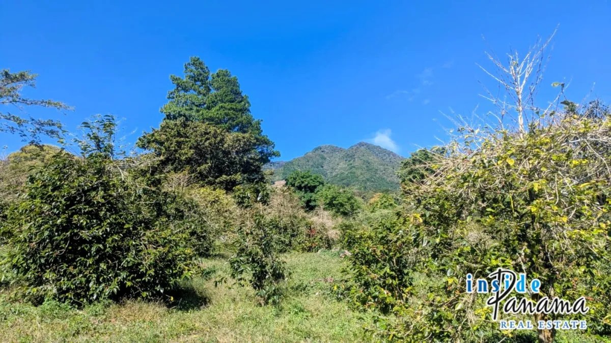 Apartamento à Venda em Buenaventura