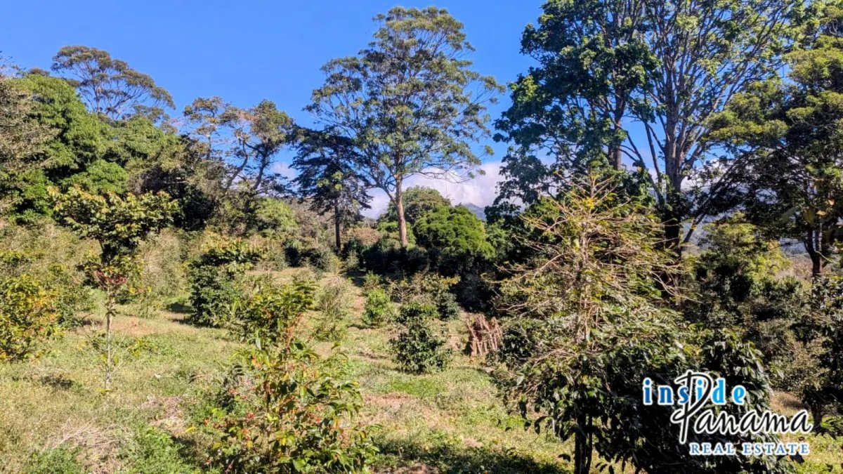 Apartamento à Venda em Boquete