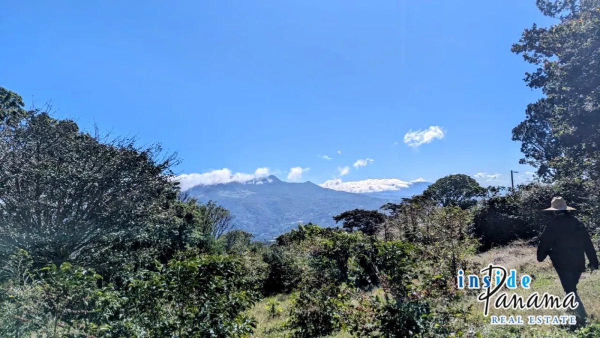 Apartamento à Venda em Boquete