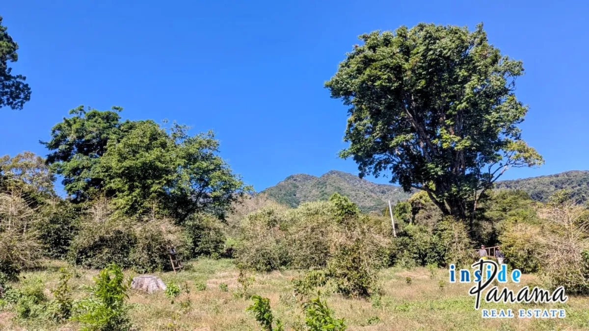 Apartamento à Venda em Boquete