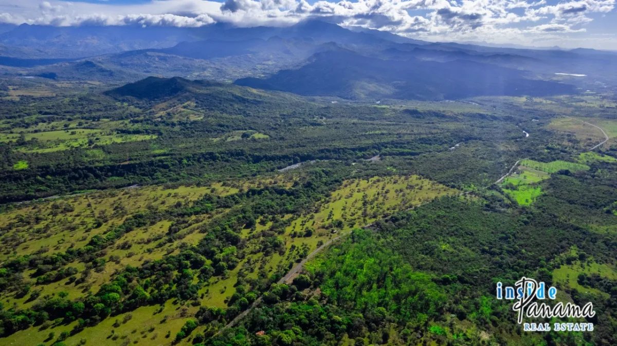 Apartamento à Venda em Caldera