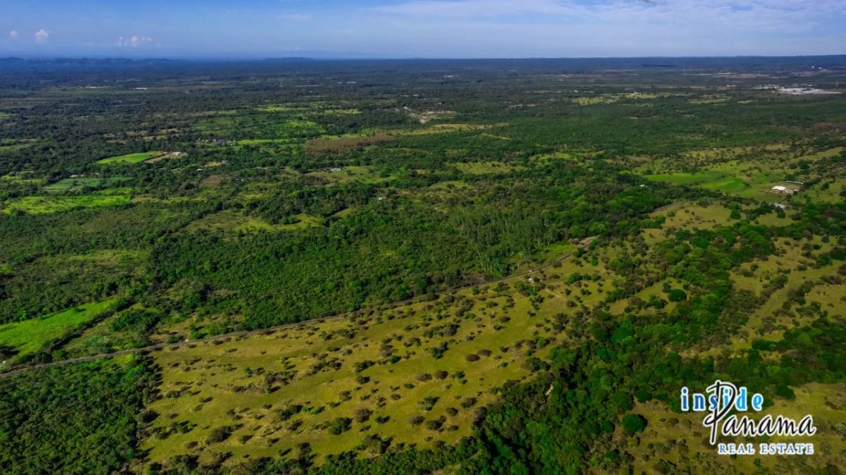 Apartamento à Venda em Caldera