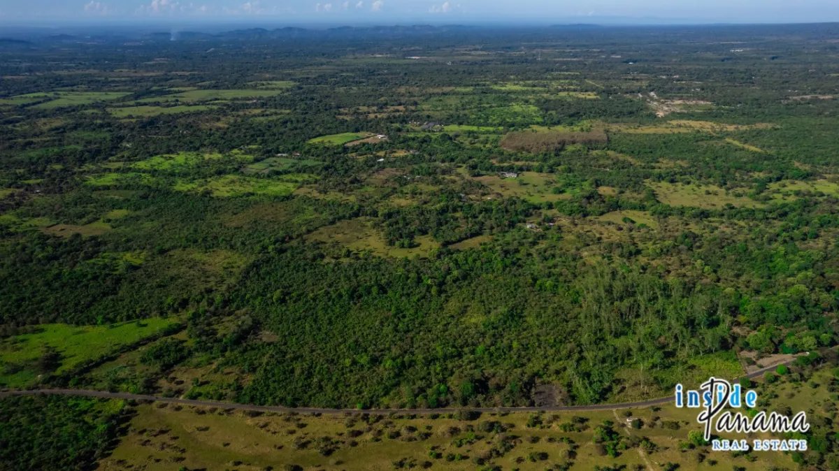 Apartamento à Venda em Caldera