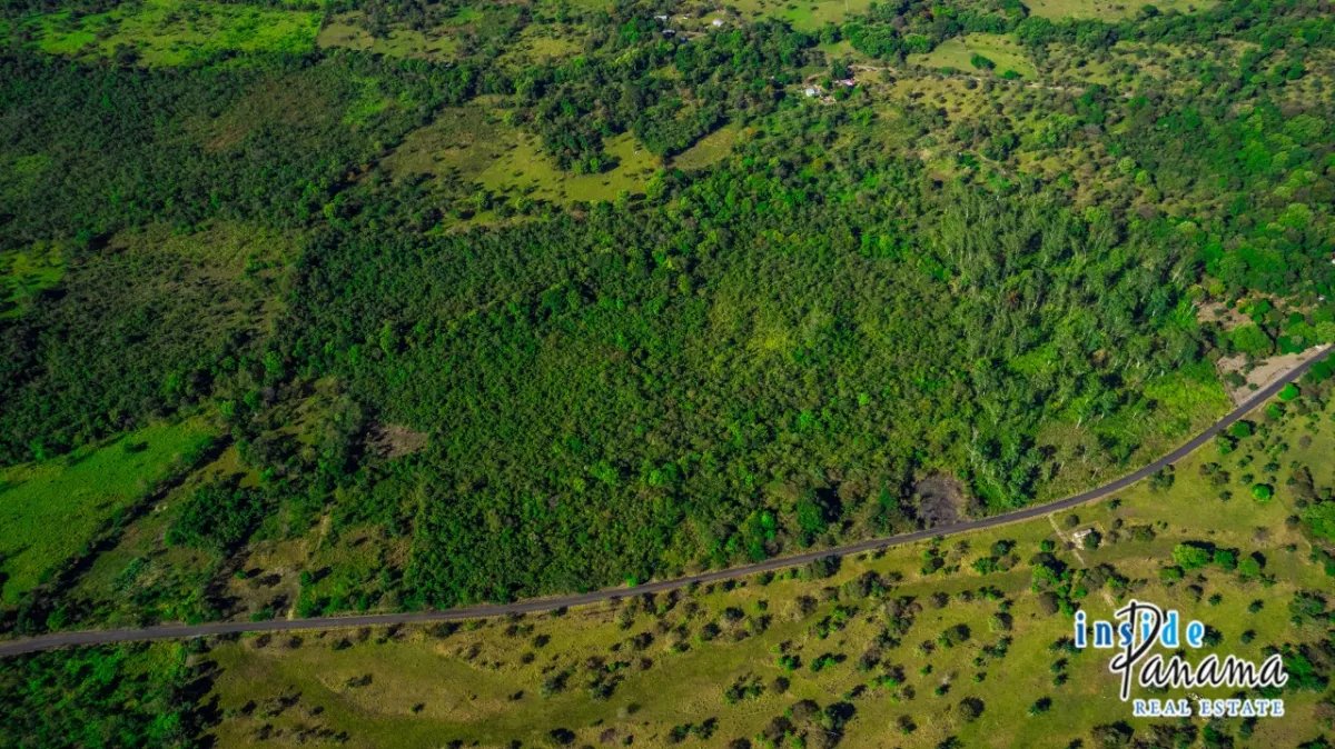 Apartamento à Venda em Caldera