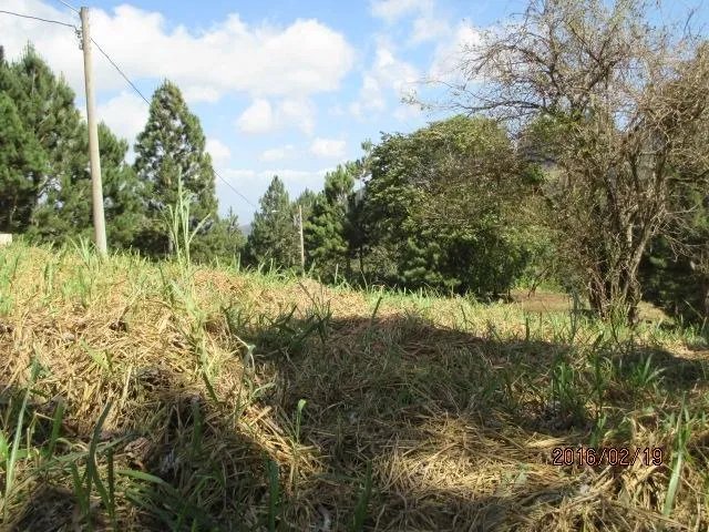 Two private lots for sale in Altos del María