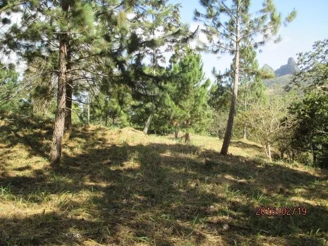 Two private lots for sale in Altos del María
