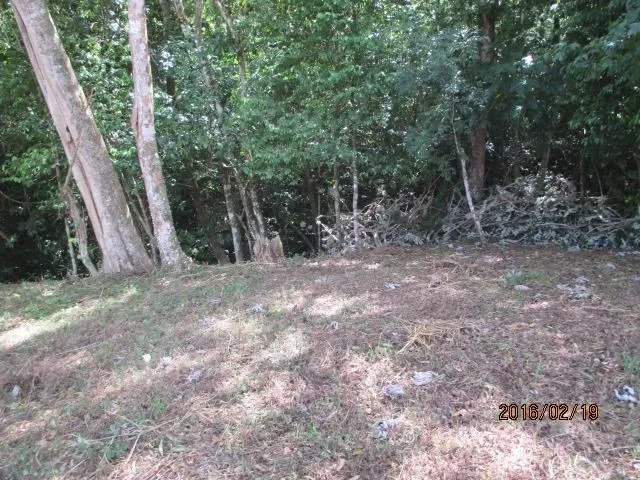 Two private lots for sale in Altos del María