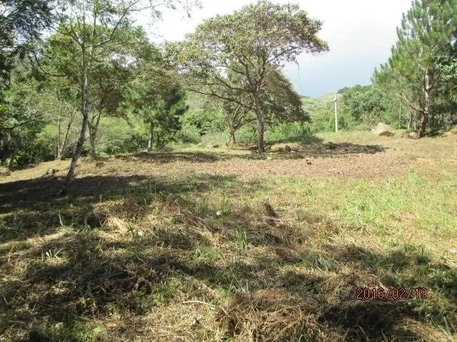 Two private lots for sale in Altos del María